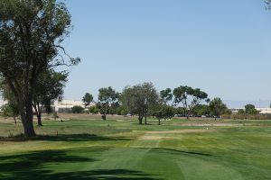 Silver Sage 9th
